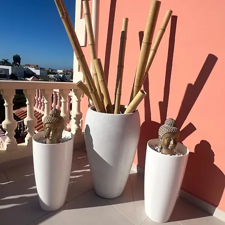 Spacious 500 M From The Sea! Playa Del Duque Vakantiehuis *